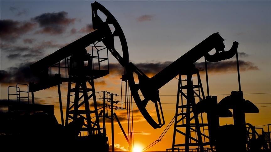 Petrol hakkına müteallik karar