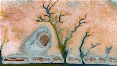 Турција: „Птичјиот рај Кавунџу“ ја губи својата поранешна живост поради сушата