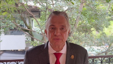 Министр иностранных дел Коста-Рики: Мы рассматриваем Турцию как ворота в Азию и Европу