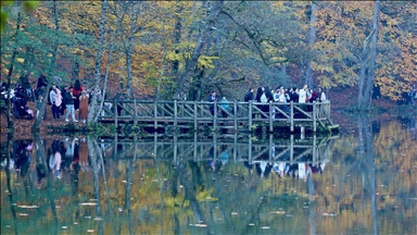Sonbahar renklerine bürünen "orman denizi" Yedigöller'de ziyaretçi yoğunluğu
