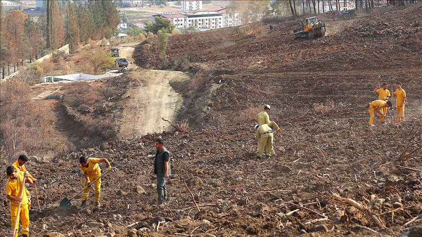 Hatay ve Kilis'te bir günde 44 bin 50 fidan toprakla buluşturulacak