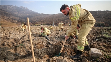 Bursa'da 3 milyon 250 bin fidan toprakla buluşacak