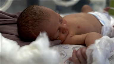 Shkalla e lindjeve në Zvicër arrin nivelin më të ulët me 1,29 fëmijë për grua