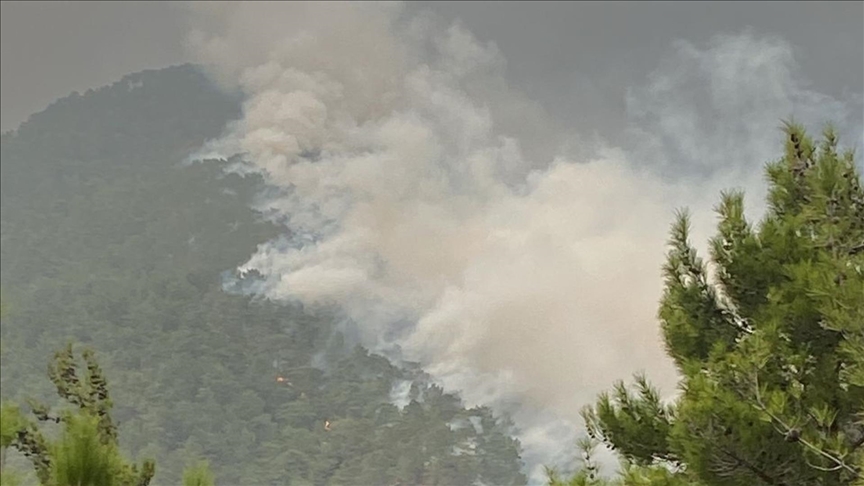 Hatay'da 2 farklı noktada çıkan orman yangını kontrol altına alındı