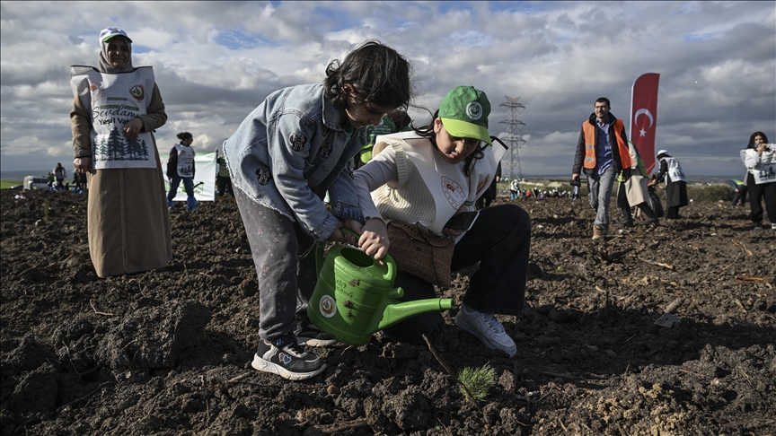 Cemre Vakfı gönüllüleri 10 bin fidan dikti