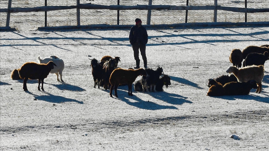 Kars'ta soğuk havanın etkisiyle buzlanma ve kırağı oluştu