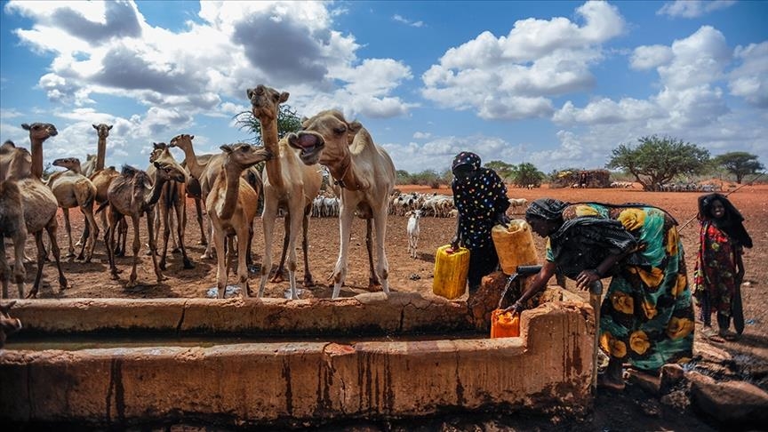  За 10 лет экстремальные погодные явления вынудили 250 млн человек покинуть дома