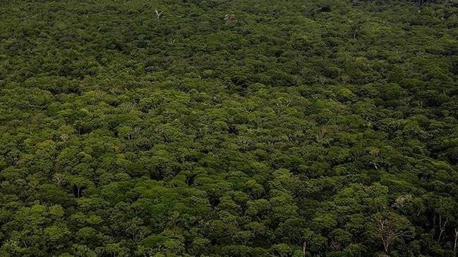 COP32: la 32e conférence sera accueillie par l'Éthiopie en 2027
