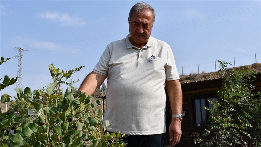 Emekli mühendis 156 dönümlük atıl araziyi fidanlarla yeşertti