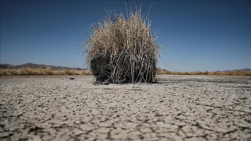 European Parliament members endorse new 2040 climate goal