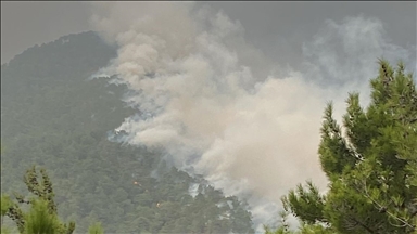 Hatay'da 2 farklı noktada çıkan orman yangınlarına müdahale ediliyor