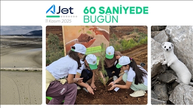 60 saniyede bugün (11 Kasım 2025)