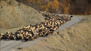 Li Mûşê xwediyê heywanan berê xwe didin herêmên germ