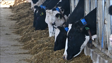 Mütevazı çiftliğini devlet destekleriyle modern süt üretim tesisine dönüştürdü