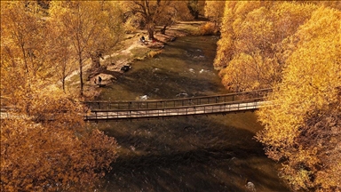 Van'daki İnci Kefali Tabiat Parkı sonbahar renklerine büründü