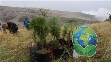 TİKA'dan Bosna Hersek'te ağaçlandırma çalışmalarına destek 