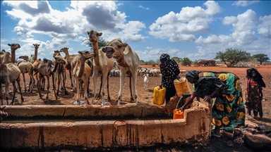  За 10 лет экстремальные погодные явления вынудили 250 млн человек покинуть дома