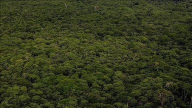 COP32: la 32e conférence sera accueillie par l'Éthiopie en 2027
