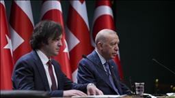 President Erdogan, Georgian premier discuss rescue efforts after Turkish military plane crash in Georgia
