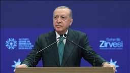 Президент Эрдоган: Работа по поиску обломков самолета продолжается в координации с властями Грузии и Азербайджана