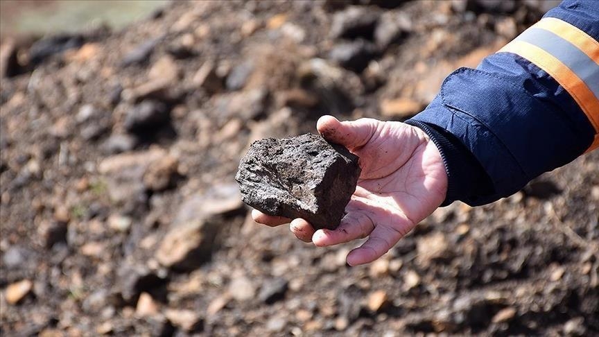 Scientists extract rare earth minerals from living plants