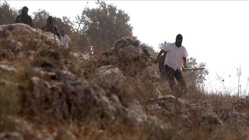 إصابات في صفوف فلسطينيين خلال مواجهات مع مستوطنين بالضفة 