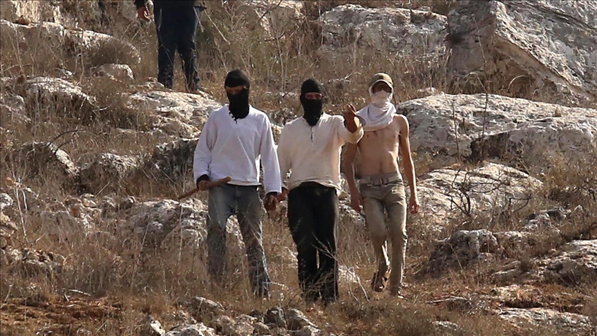 بحماية الجيش.. المستوطنون يحرقون أرزاق الفلسطينيين بنابلس (تقرير)