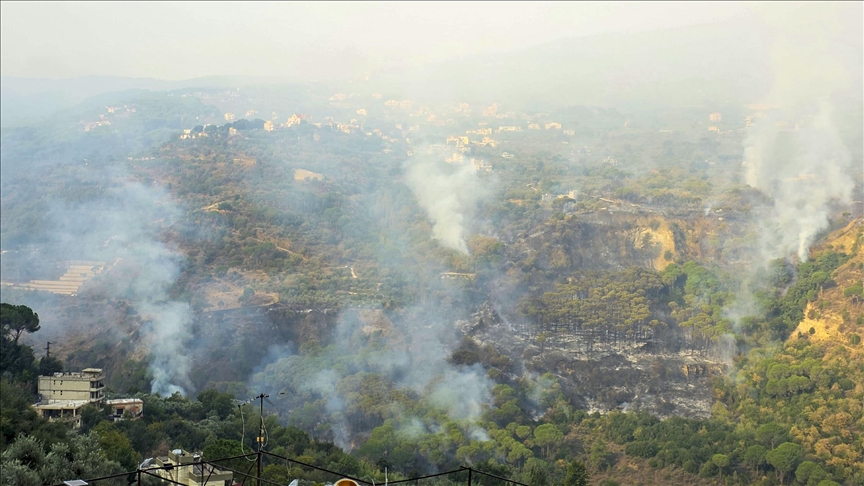 لبنان يثمن مبادرة سوريا للمساعدة على إخماد حرائق بالجنوب