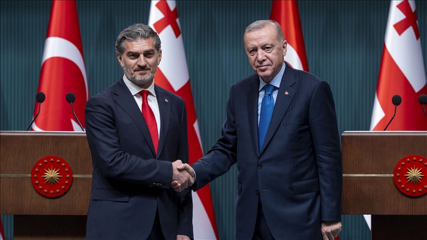 أردوغان ونظيره الجورجي يبحثان جهود الكشف عن ملابسات تحطم الطائرة