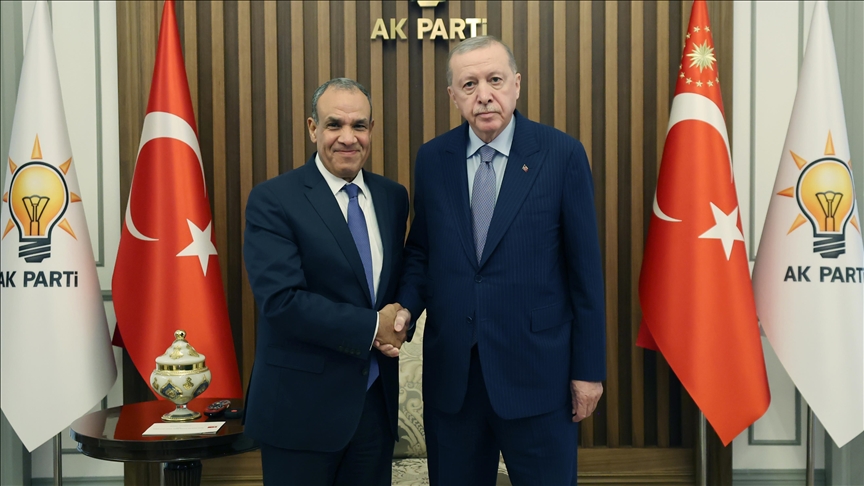 Cumhurbaşkanı Erdoğan, Mısır Dışişleri Bakanı Abdulati\'yi kabul etti