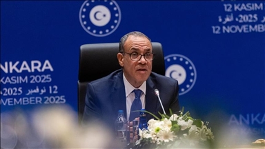 Egipat poručio da nova Sirija ne predstavlja prijetnju regiji