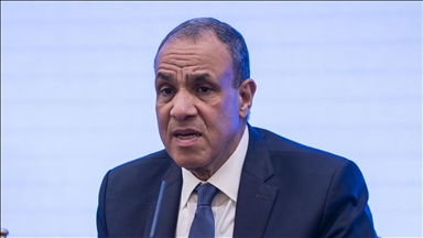 Mısır Dışişleri Bakanı: Mısır-Türkiye ortaklığı bölgedeki krizlerin çözümüne olumlu katkı sağlıyor