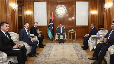 مباحثات تركية ليبية للتعاون في تطوير البنية التحتية للطاقة