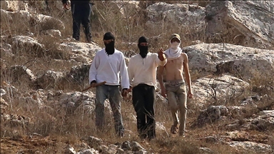 بحماية الجيش.. المستوطنون يحرقون أرزاق الفلسطينيين بنابلس 