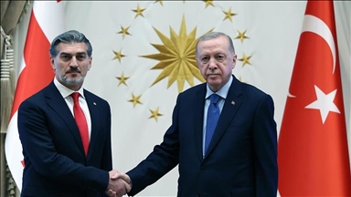 Erdogan s'entretient avec le président géorgien après le crash du C-130 turc : 20 militaires tués