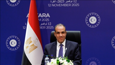 مصر: الشراكة مع تركيا تسهم بإيجابية في معالجة أزمات المنطقة