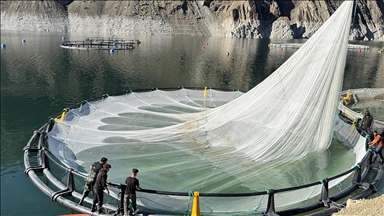 Artvin'den 67 ülkeye Türk somonu ihraç edildi