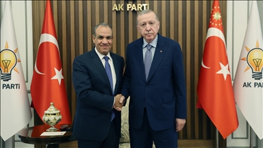 Президент Эрдоган принял министра иностранных дел Египта Бедра Абдулати