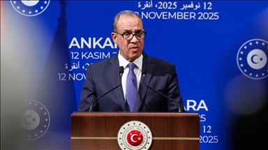 Бедр Абдулати: Египет и Турция едины в вопросе соблюдения и продления перемирия в Газе