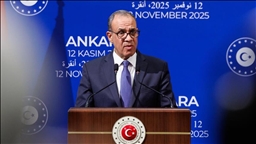 Бедр Абдулати: Египет и Турция едины в вопросе соблюдения и продления перемирия в Газе