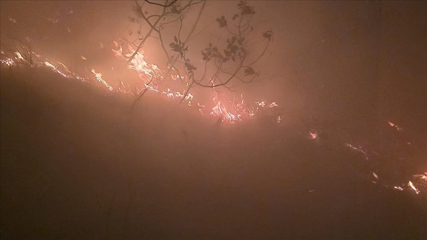 Hatay\'da ormanlık alanda yangın çıktı