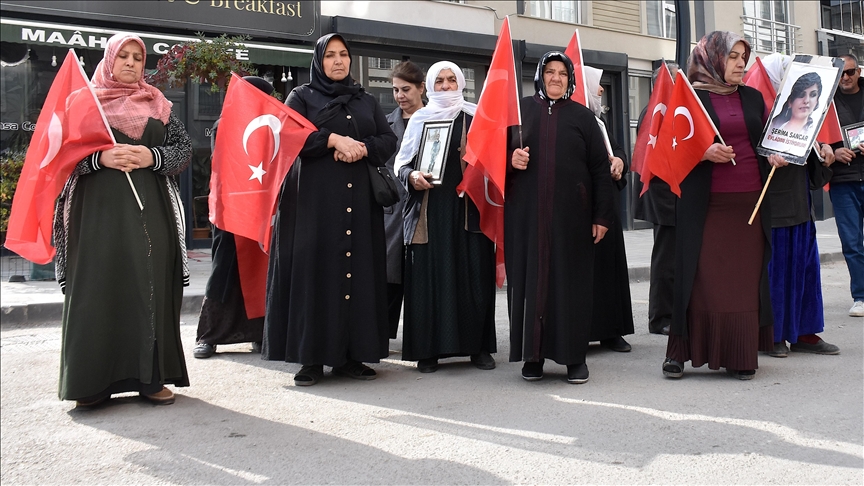 Malbatên Wanî çalakiya xwe ya li ber Serokatiya DEM Partiyê ya Parêzgehê domand