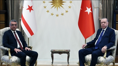 دیدار اردوغان و ارهورمان در آنکارا 