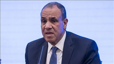 مصر: القوة الدولية في غزة يجب أن تكون جزءًا من مهمة حفظ السلام