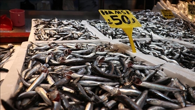 Hamsi bolluğu Trabzon'daki balıkçı tezgahlarında fiyatlara yansıdı