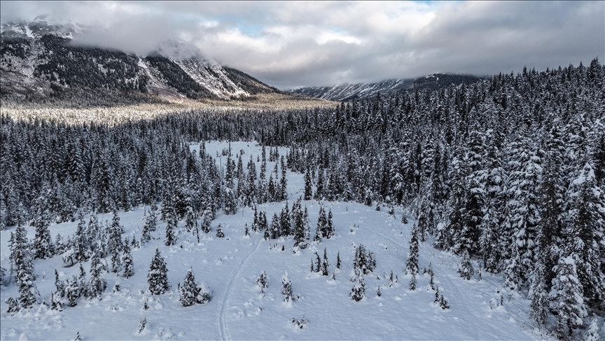 La administración de Trump revoca la prohibición de perforación y minería en Alaska