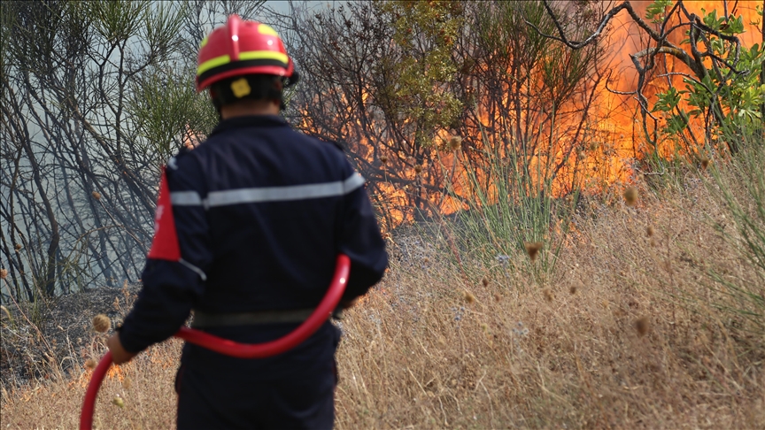 Algeria reports over 22 forest fires across 8 provinces