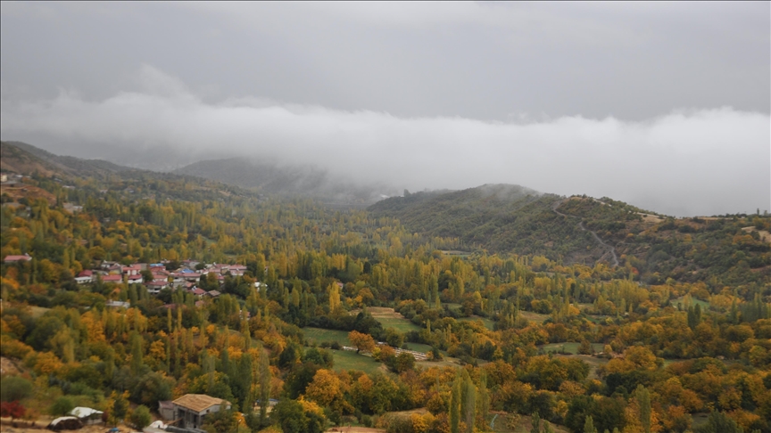 Li Bedlîsê daristanên Hîzanê bi rengên payîzê xemilîn