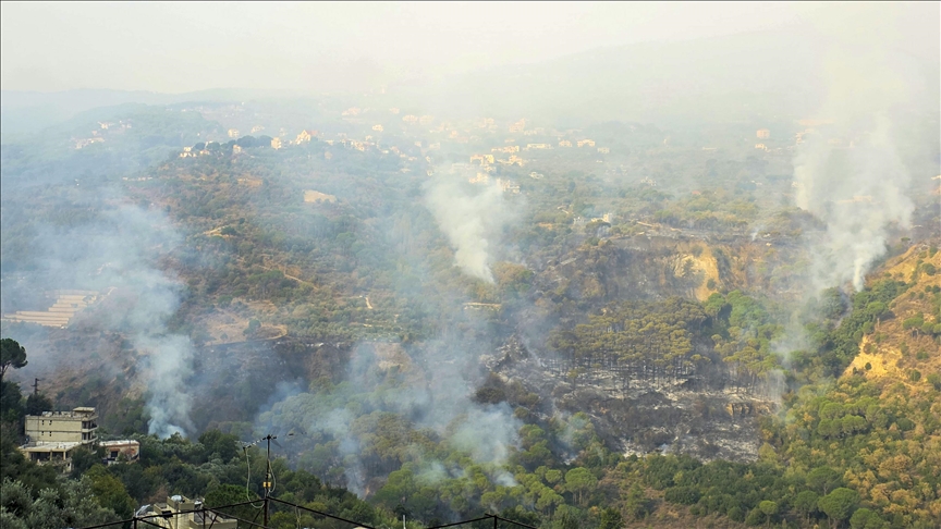 Algérie: La Protection civile recense plus de 22 feux de forêt dans 8 provinces