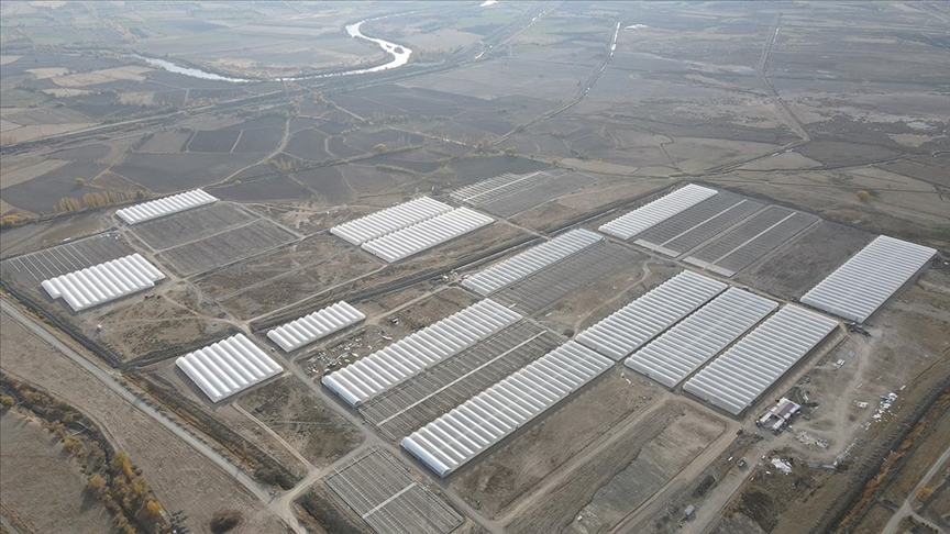 Doğu Anadolu'nun en büyük toplu sera alanı Erzincan'da kurulacak